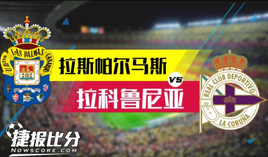 表现与团队