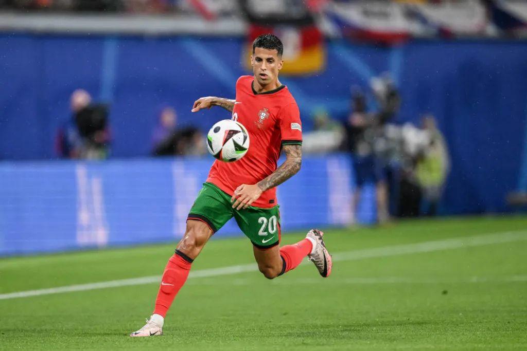 与野区生态 与野区生态